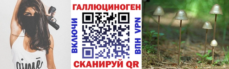 Псилоцибиновые грибы прущие грибы Чекалин